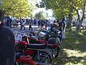 200609102294 (Medium)